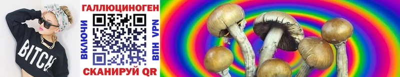 Псилоцибиновые грибы Psilocybe  мега tor  Прокопьевск  где продают наркотики 