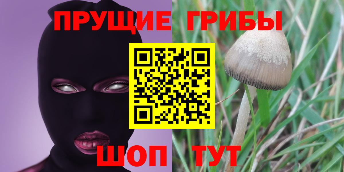 Прокопьевск  Псилоцибиновые грибы мухоморы  купить наркотик  Вход с VPN 